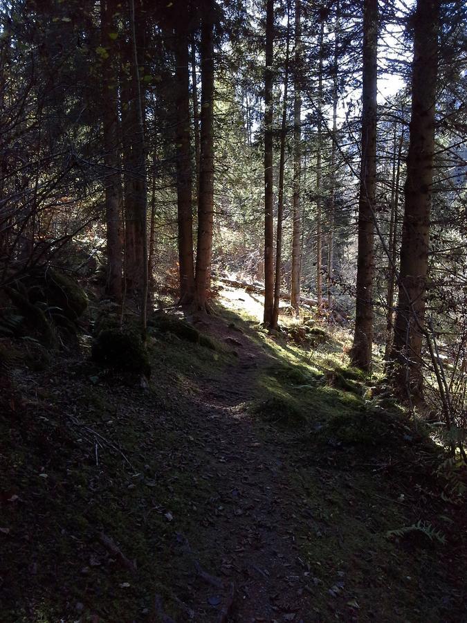 Вилла Lieu Secret Dans Les Alpes Suisses Le Tretien Экстерьер фото